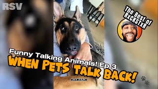 Best of RxCKSTxR Funny Talking Animal Voiceovers Compilation 3 [upl. by Llerrac283]