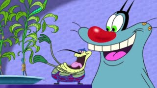 NEW FRIEND  Oggy and the Cockroaches S02E09 BEST CARTOON COLLECTION  New Episodes in HD [upl. by Krishna]