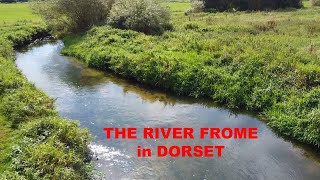 The River Frome  a Dorset Chalkstream [upl. by Antonio]