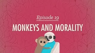 Monkeys and Morality Crash Course Psychology 19 [upl. by Neral]