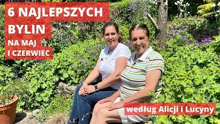 6 najlepszych bylin rabatowych na maj i czerwiec do ogrodu kwiaty w ogrodzie [upl. by Mayes]