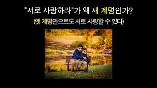 quot서로 사랑하라quot가 왜 새 계명인가 옛 계명만으로도 서로 사랑할 수 있다 [upl. by Sucram]