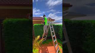 Satisfying garden work 🍀🍀GardenWork shorts gardening satisfying work gardenwork grass [upl. by Arza669]