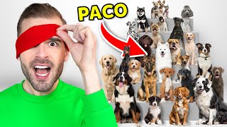 30 Honden Maar 1 Daarvan Is Paco [upl. by Orelle]