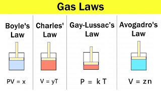 Gas Laws Boyles Law Charless Law GayLussac’s Law and Avogadros Law  12th Chemistry Lecture [upl. by Jacoba]