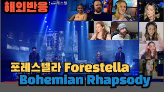 중단없이연속감상 포레스텔라 Forestella  Bohemian Rhapsody보헤미안랩소디 해외반응 모음 [upl. by Hodosh]