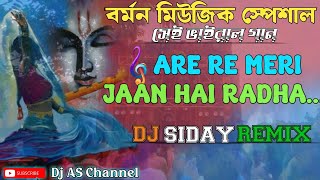 Are re meri jaan hai RadhaBagnan asrom special song 2024 Dj siday remix barman music special song [upl. by Drofwarc]