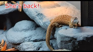 Lil Joy Ackie monitor update  shes fine [upl. by Cate]