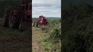 230 Timberjack skidder with a view youtubevideo skidder workout view [upl. by Mcconaghy853]