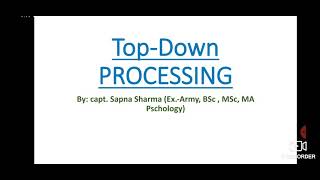 Topdown Processing [upl. by Zelde]