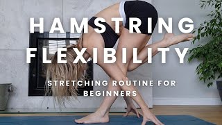 Hamstrings flexibility flow beginners [upl. by Daly]