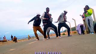 SEASONS DANCE VIDEO by SHAGGY DANCE REBELS [upl. by Ameehs]