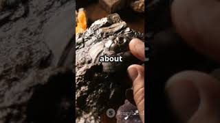 Stratigraphy  Earths Diary Strata science geology history knowledge foryou foryoupage [upl. by Terry]