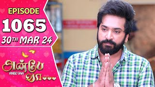 Anbe Vaa Serial  Episode 1065  30th Mar 2024  Virat  Shree Gopika  Saregama TV Shows Tamil [upl. by Jose469]