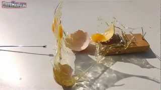 Egg Explodes in Mouse Trap Slow Motion GoPro 120 fps [upl. by Sackville]