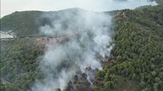 Incendio a Vieste fiamme nel bosco di Baia San Felice [upl. by Cheslie]