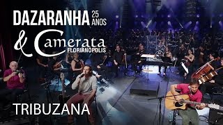 TRIBUZANA  Dazaranha Acústico 25 Anos amp Camerata Florianópolis [upl. by Notpmah]