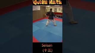 Kata Tutorial Seisan karate karatekata seisan [upl. by Chastain]