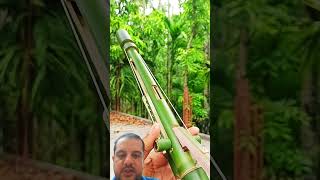 DIY BAMBOO SHOT GUN bamboo DIY handmade archery bambooshorts [upl. by Cilegna]