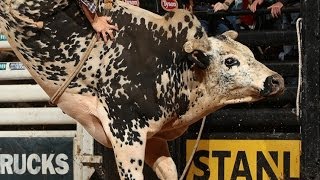 TOP BULL Jared Allens H4WW Air Time earns 47 points PBR [upl. by Anthe814]