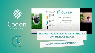 Codon DSF Keys to DataCentric AI w CleanLab [upl. by Spark]