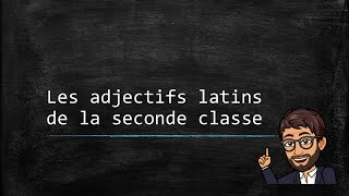 Ladjectif latin 02  Les adjectifs de la seconde classe [upl. by Garrity992]