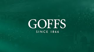 Goffs  Punchestown Sale 2024 [upl. by Basham389]