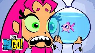 Starfire’s New Pet  Teen Titans GO  Cartoon Network [upl. by Noam]