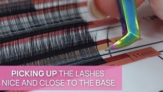 Volume Lashing Technique for Beginners [upl. by Kristoforo230]