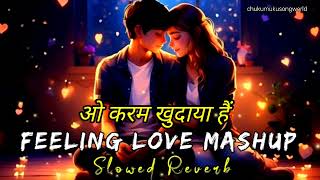 ओ करम खुदाया हैं तेरा प्यार जो पाया हैं 🥰💖Hindi New Lofi SongSlowedReverbMind Relaxing Song [upl. by Mcallister527]