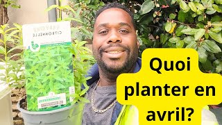 Que planter au mois davril [upl. by Tham180]