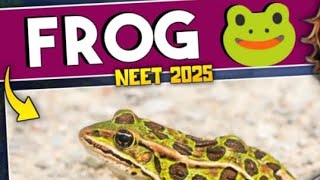 FROG ncert line by line explanation biology neet2025 shortnote PART 1  anneetbiology [upl. by Lisab955]