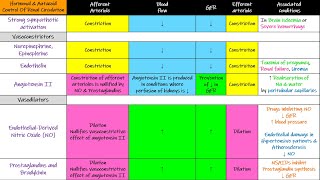 Hormonal amp Autacoid control of Renal Circulation Chapter 27 part 5 Guyton and Hall Physiology [upl. by Lupita]