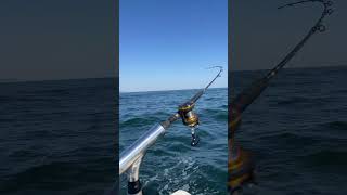 Striped bass fishing off New Jersey shore bassfishing [upl. by Itagaki]