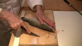 How to scale gut and fillet a fish [upl. by Shep]