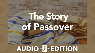 Seder  Passover [upl. by Zilada]