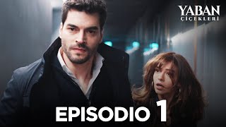 Yaban Çiçekleri  Episodio 1 Sottotitolato in italiano [upl. by Dorcea]