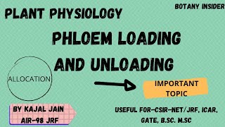 Plant PhysiologyPhloem Loading and Unloading Mechanism  Allocation of Resources CSIRNET JRF [upl. by Otreblasiul59]