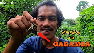 MAMAW NA GAGAMBA ANG AKING NAKITA [upl. by Martynne]