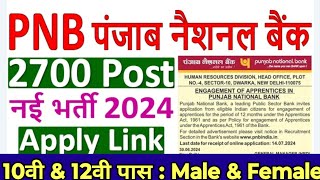 PNB Bank New Vacancy 2024  PNB Recruitment 2024  PNB Vacancy online application form fill up [upl. by Anirpas]