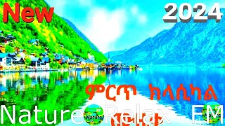 🍀 Ethio Classical instrument 🌲ክላሲካል🌳 New FM [upl. by Etnad]