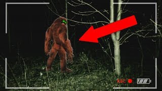 FINDING BIGFOOT [upl. by Mani]