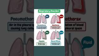 Respiratory Disorders [upl. by Odnalra]