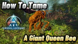 How To Tame Giant Queen Bee ARK Survival Ascended [upl. by Ezri369]