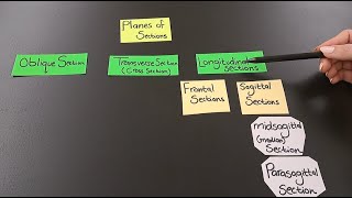 The 4 Anatomical Planes of Sections [upl. by Roe]