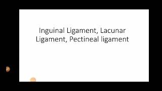 Inguinal Pouparts Ligament Lacunar Gimbernats Pectineal or Ligament of Cooper by Dr Jessie James [upl. by Teloiv29]