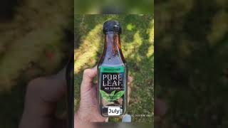 Pure Leaf Iced Tea Unsweetened Black Tea with Lemon [upl. by Karalynn974]