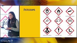 Globally Harmonized System GHS  An Overview [upl. by Eifos]