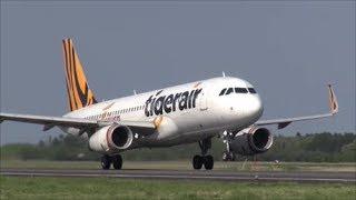 茨城空港は２機の国際線が運行 春秋航空 A320 Tiger air A320 Rwy21R LandingampTakeoff nrthhh [upl. by Velasco]