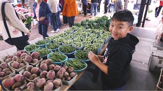 From the Field to the Farmers Market [upl. by Anairt]